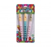 Kids - Musical Instrument - Flute - 3 Piece Photo