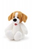 Trudi T By Dog Beagle - 53cm Photo