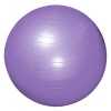 Exercise Ball / Yoga Ball Photo
