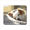Mouse Pad - Sleeping Dog Photo