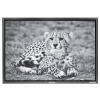 Zawadi 'Young Lightning" a Medium Sized Print on Canvas in Grey Floating Frame Photo