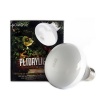 NOMOY Reptile Frosted Heating Lamp - 75w - UVA Photo