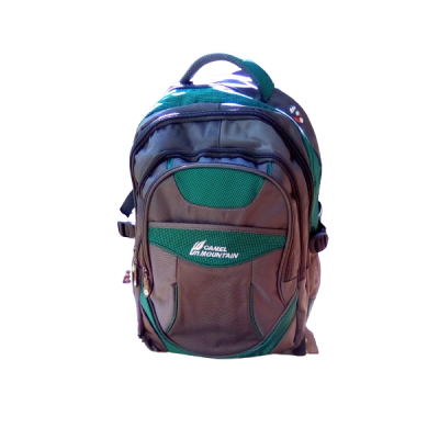 Photo of Camel mountain school backpack bag- Grey & green