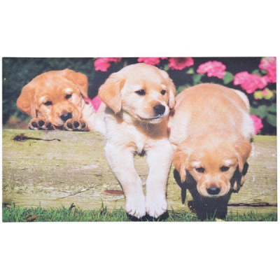 Photo of Esschert - Doormat Puppies