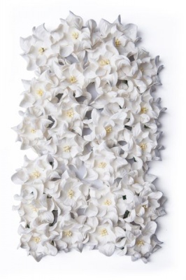 Photo of Bloom Gardenia - White 6 cm