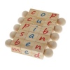 The Montessori Phonetic Reading Blocks Photo