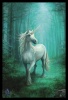 Anne Stokes - Forest Unicorn Poster with Black Frame Photo