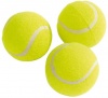Mitzuma Training Tennis Balls - Pack of 3 Photo