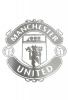 Medal Hanger Specialists DC Designers Manchester United Crest Mounted Wall Art Stainless Steel Photo