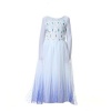 White Elsa Princess Dress Photo