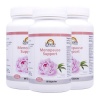 Menopause Support Supplement 3 Month Pack Photo