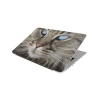 Laptop Skin/Sticker - Blue Eyed Cat Face Photo