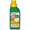 Pokon - Orchid Liquid Plant Food Photo