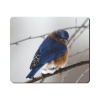 Mouse Pad - Blue Bird In Snow Photo