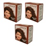 BetterBuys Glory Henna Hair Dye - Mahogany - 3 Pack Photo