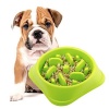 4aKid Slow Feeder Pet Bowl - Green Photo