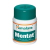 Mentat Tablets 50S/ Focus/Memory/Recall/Concentration/Adhd Photo