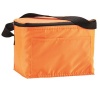 Cooler Bag 6 Can Cooler 6 Pieces Photo