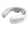 Electrical Pulse Massager Photo