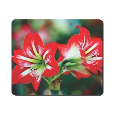Photo of Mouse Pad - Red And White Flower