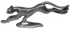 Pewter cheetah running Photo