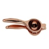 Golden Manual Lemon Squeezer Photo