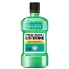 Listerine 500ml Freshburst 53113 Photo