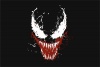 Graffiti Laptop Skin Venom Photo
