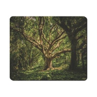 Mouse Pad Tree In Woods