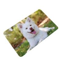 Doormat Golden Retriever Husky White