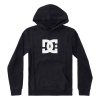 DC Shoes Boy's Star Hoodie Photo