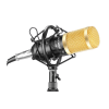NW-800 Professional Studio Broadcasting & Recording Microphone Set Photo