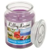 Lilly Lane Caribbean Summer Fruits Scented Candle Large Photo