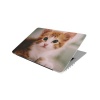 Laptop Skin/Sticker - Cute Ginger Kitten Photo