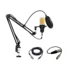 M800 Gaming Recording Condenser Microphone With Dual Jack Connectors Photo