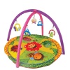 Baby Play Mats Photo