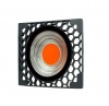 COB Full Spectrum Plant Led Grow Light Growth Lamp for Vegetable Flowers Photo