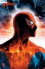 Spider-Man - Protector Of The City Poster Photo