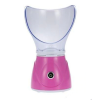 Professional Facial Steamer - BY1078 Photo