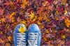 Graffiti Laptop Skin Fall Leaves Photo