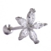 Androgyny Stainless Steel Cubic Zirconia 5 Petal Flower Ear Cartilagea Photo