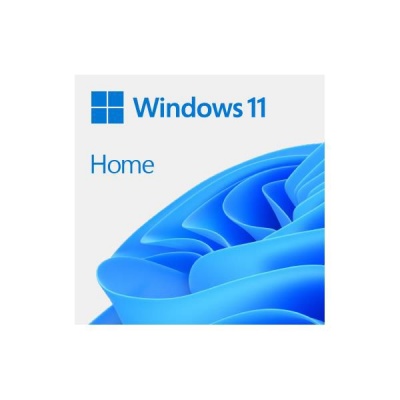 Microsoft Windows 11 Home 64 Bit DSP Physical Product