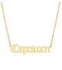 ZA Capricorn Horoscope Birth Star Sign Zodiac Astrology Necklace Birthday Gift Photo