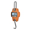 Hanging Scale 300Kg Mini Photo