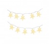 Larrys Life Christmas Star String Lights Photo