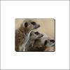Mouse Pad - Meerkats Photo