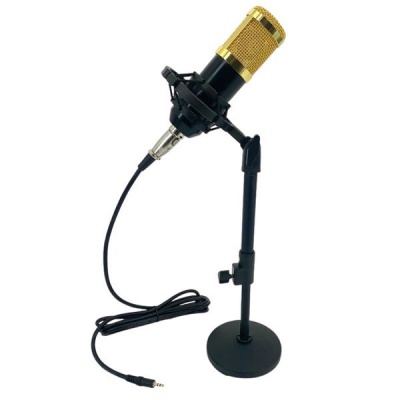 Photo of Professional Live Recording and Streaming Studio Desktop Microphone