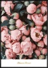 Boluo Framed Nordic Canvas Print Ready To Hang - My Time Has Come Photo