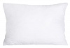 PepperSt Scatter Cushion - 60cm x 40cm Photo