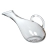 Crystal Glass Wine Decanter Photo